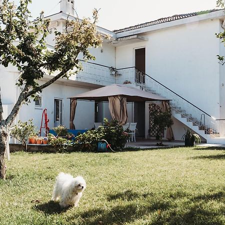 A Casa Da Estrela - Albergue De Peregrinos Fajozes Exterior foto